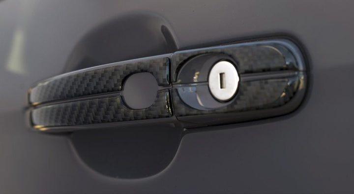 Door Handle Accent Trim Fits 2012-2018 Ford Focus, RS, ST