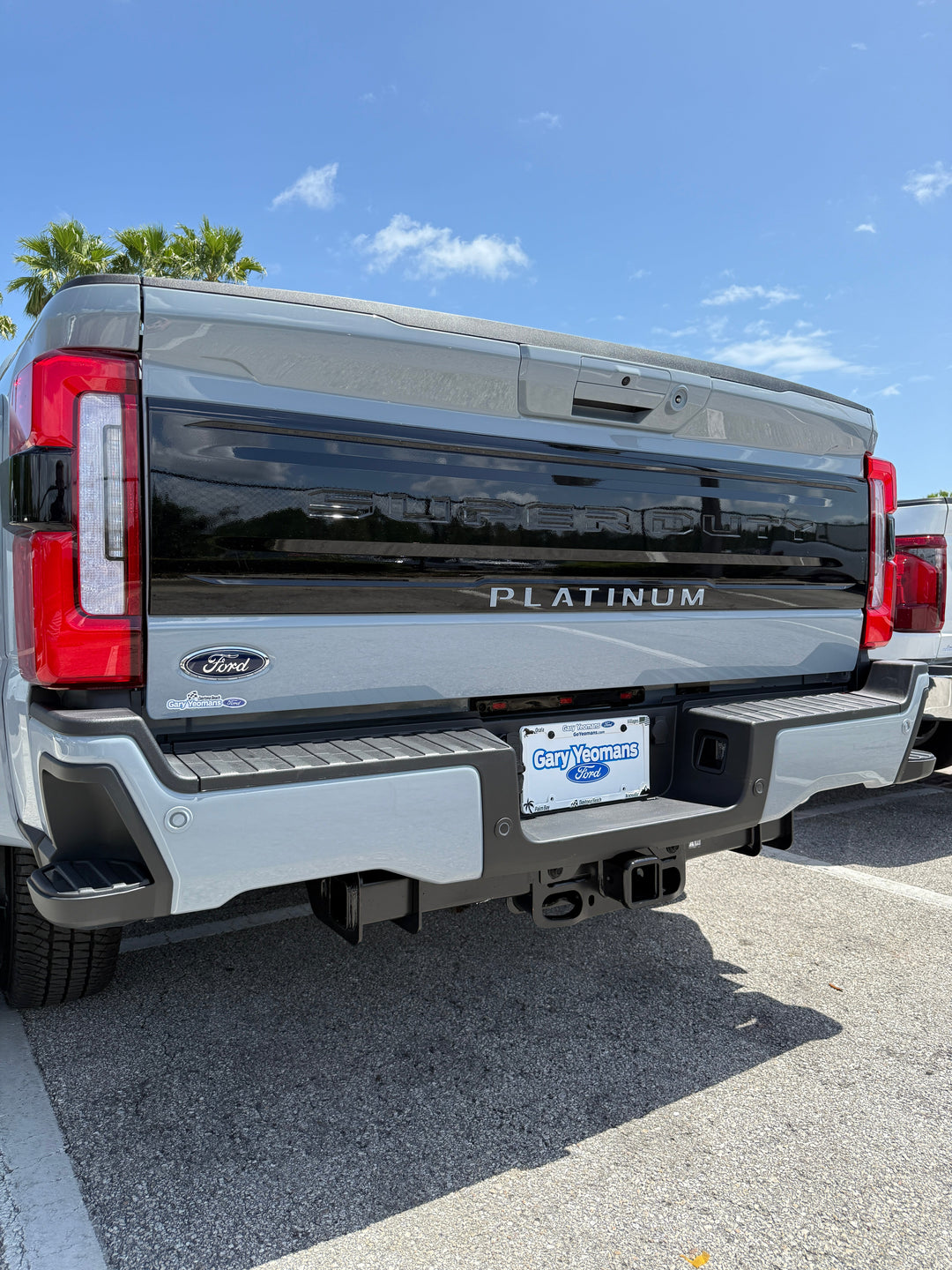 Platinum Tailgate Lettering Kit Fits 2025-2025 Ford Super Duty Platinum