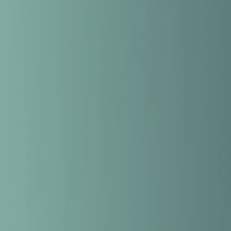 2025+ 4Runner Beta Pro Grille