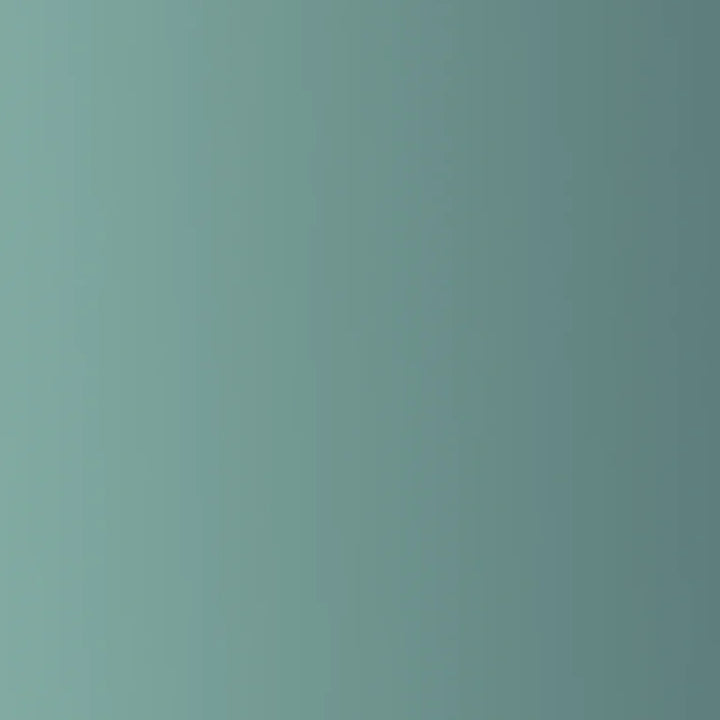 2025+ 4Runner Beta Pro Grille