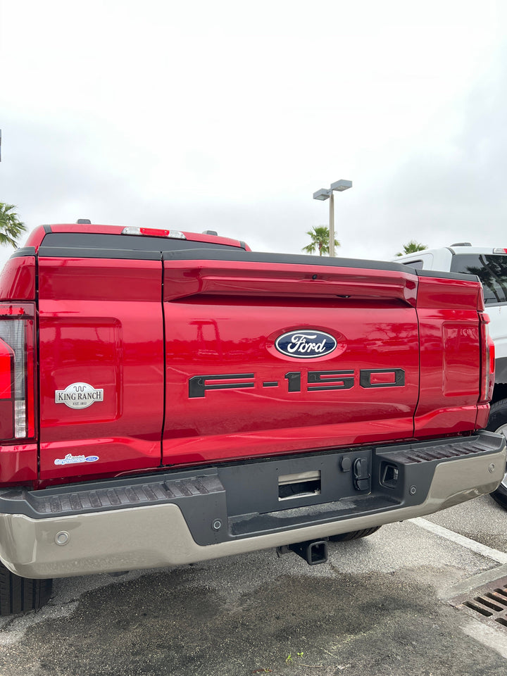 Tailgate Letter Inserts Fits 2021-2025 Ford F-150