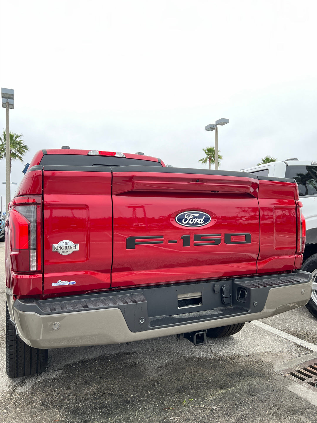 Tailgate Letter Inserts Fits 2021-2025 Ford F-150