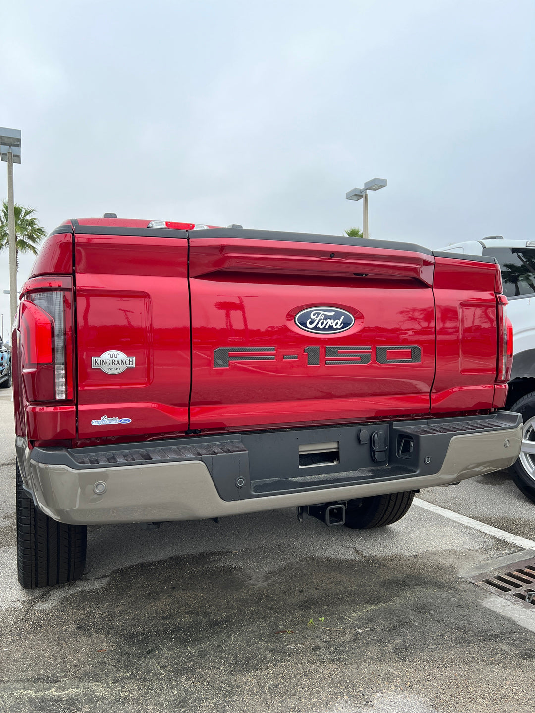 Tailgate Letter Inserts Fits 2021-2025 Ford F-150