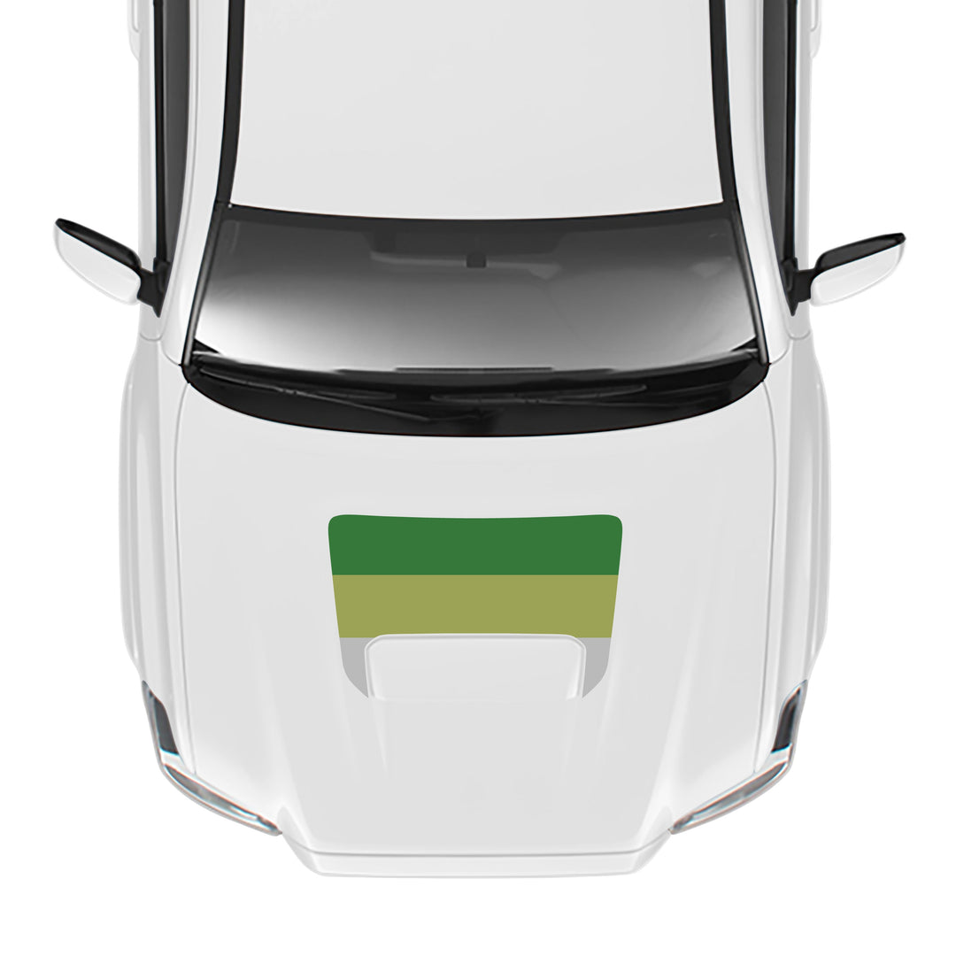 2016-23 Tacoma Sport/Pro Hood Stamp