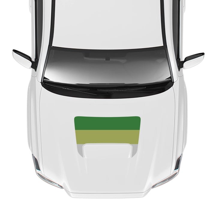 2016-23 Tacoma Sport/Pro Hood Stamp