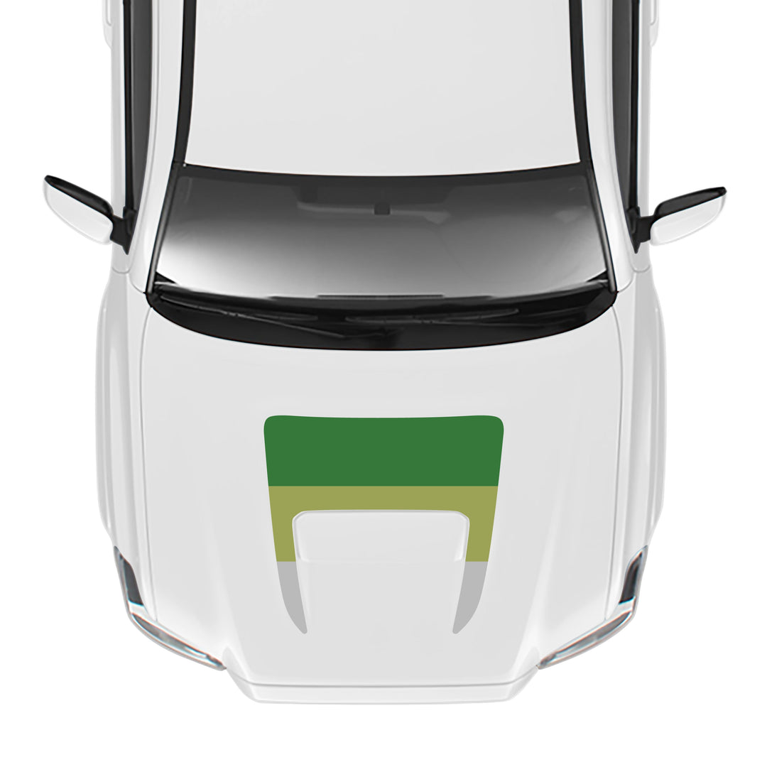 2016-23 Tacoma Sport/Pro Hood Stamp