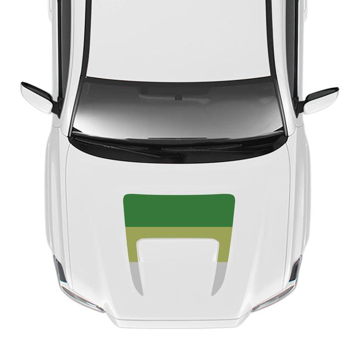 2016-23 Tacoma Sport/Pro Hood Stamp