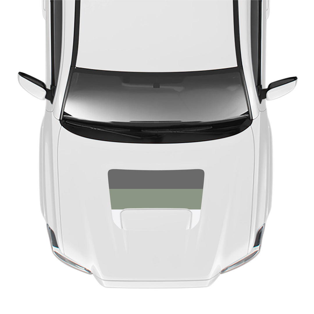 2016-23 Tacoma Sport/Pro Hood Stamp