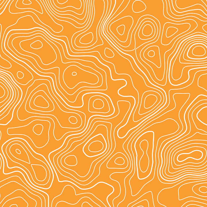 Standard Pro Grille Insert Decals