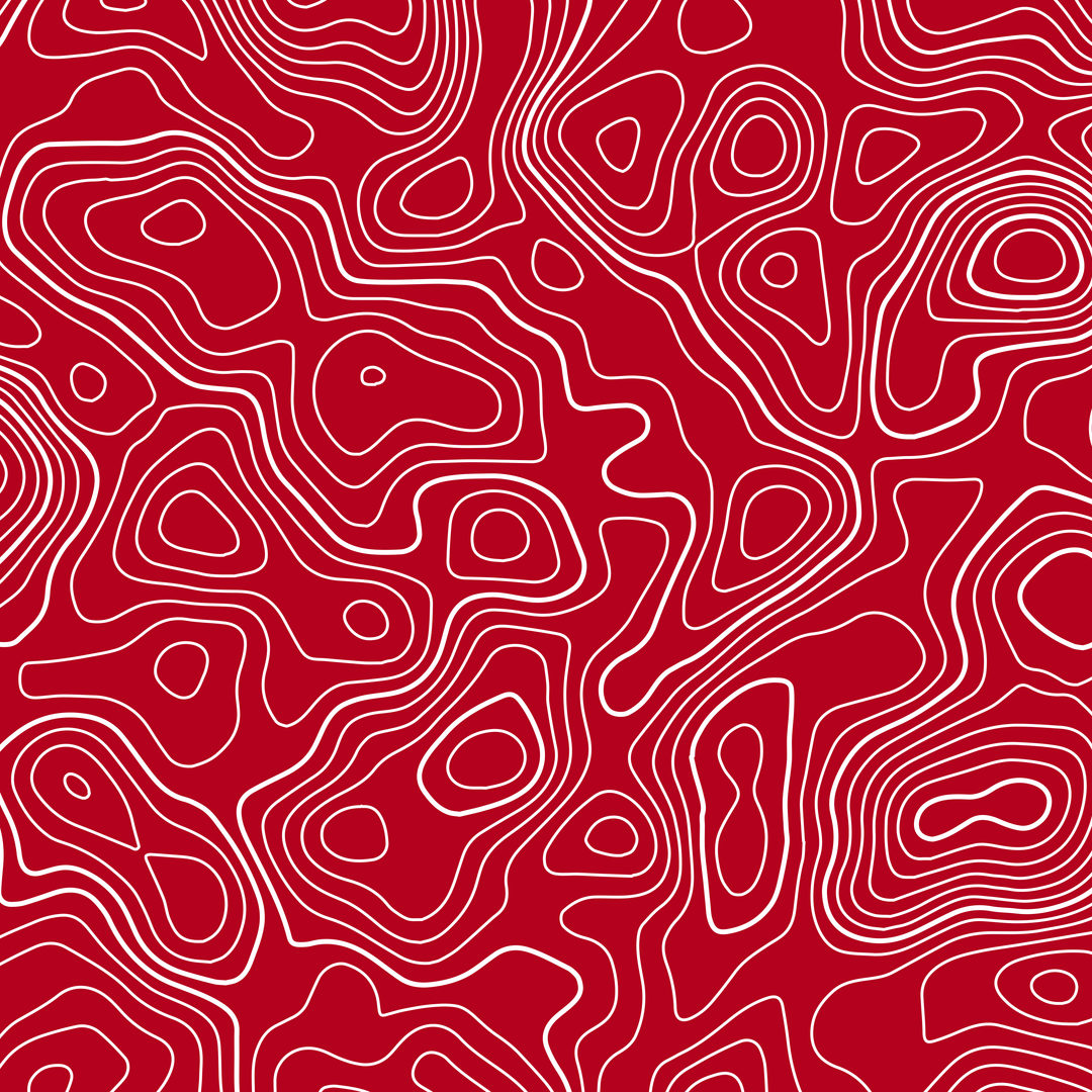 Standard Pro Grille Insert Decals