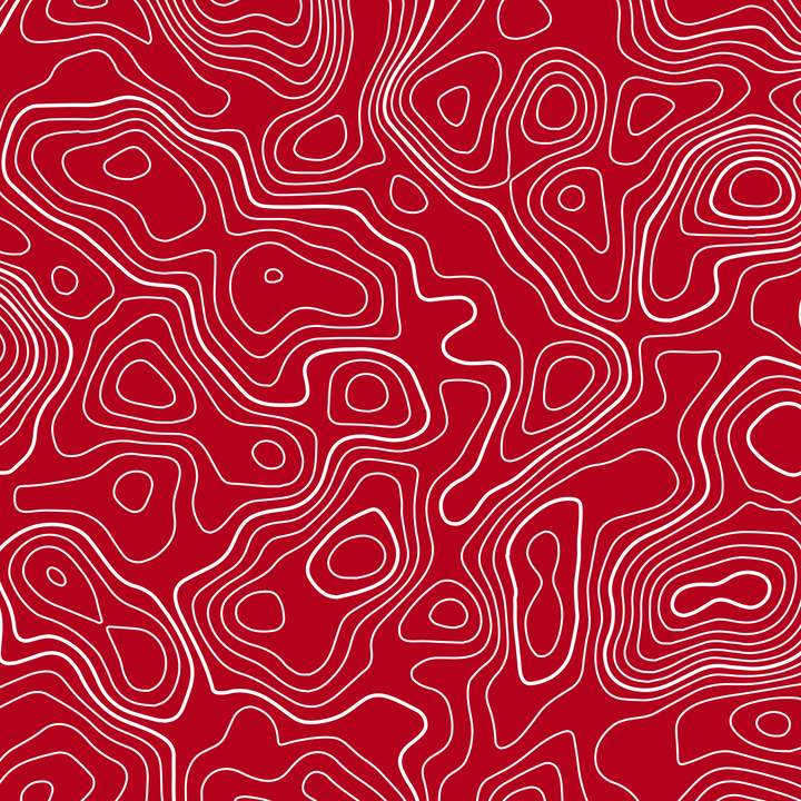 Standard Pro Grille Insert Decals