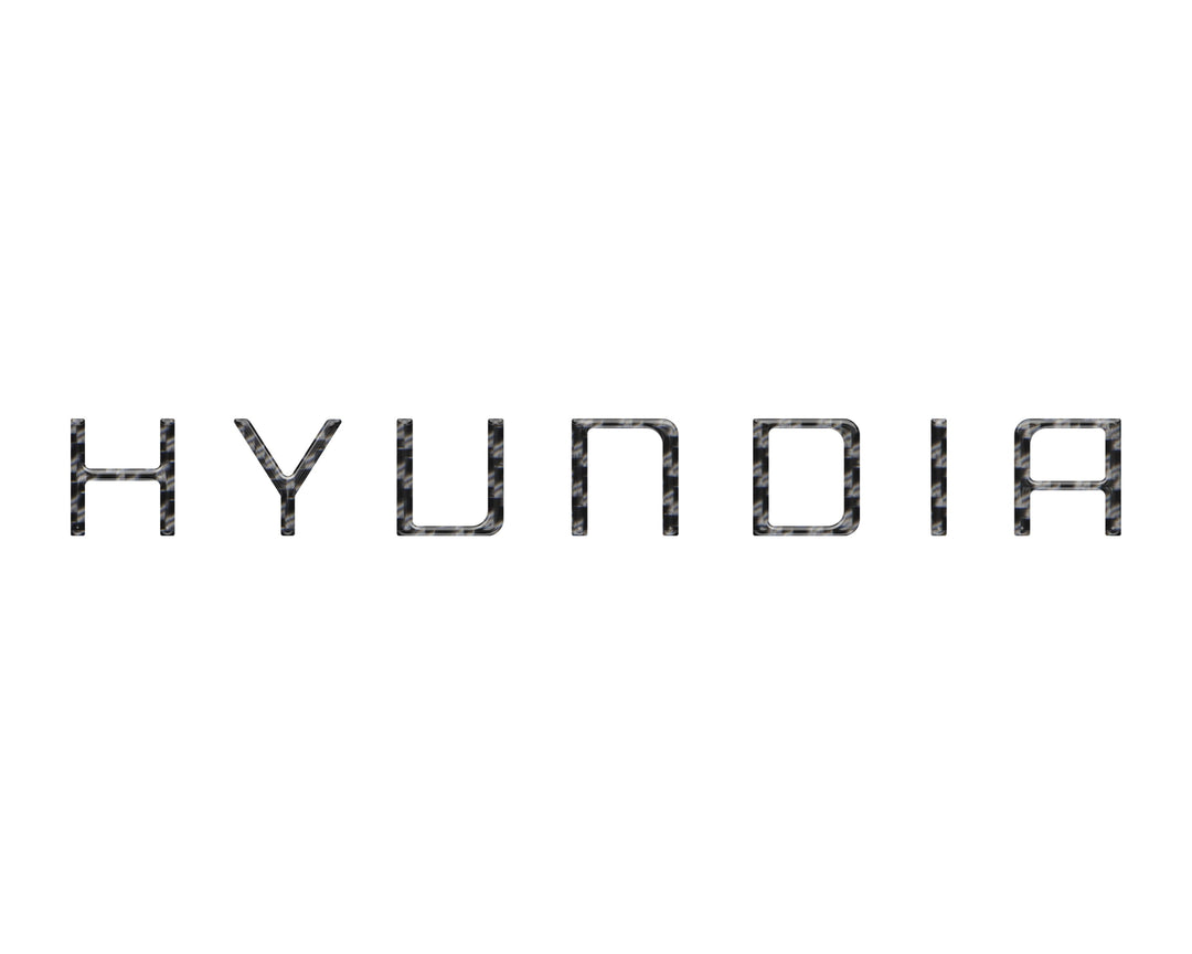 Tailgate Handle Letter Inserts Fits 2022-2025 Hyundai Santa Cruz