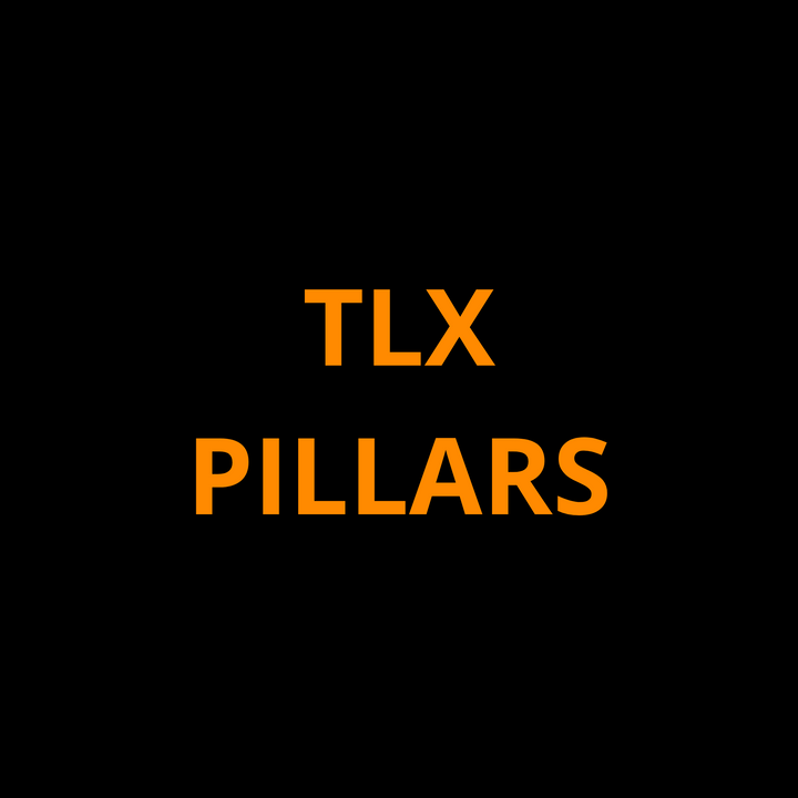 Acura TLX Pillar ProTech Kit