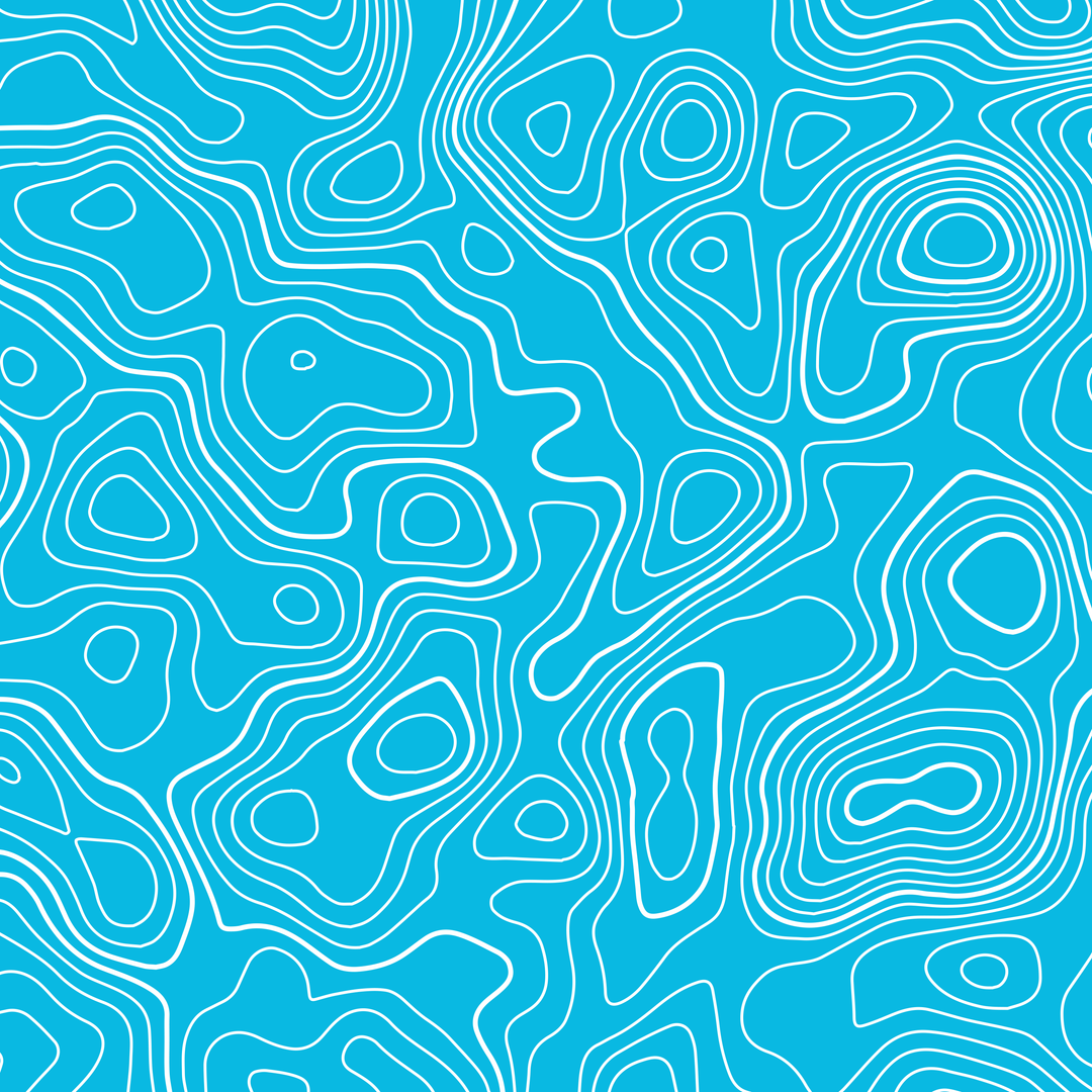 Standard Pro Grille Insert Decals