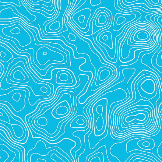 Standard Pro Grille Insert Decals