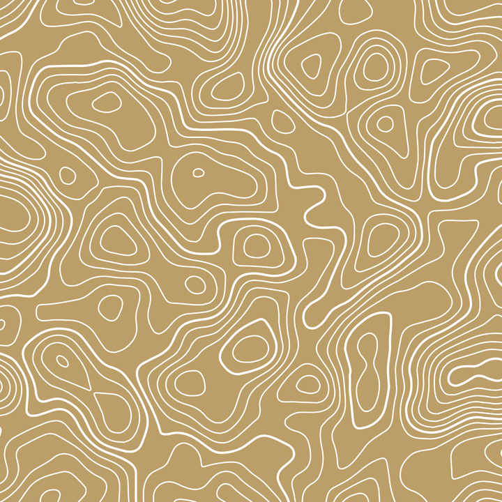 Standard Pro Grille Insert Decals