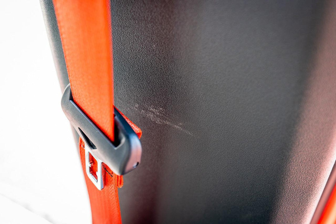 Topo Seatbelt Trim Protector (Printed Series) - 2021+ Bronco 4 Door
