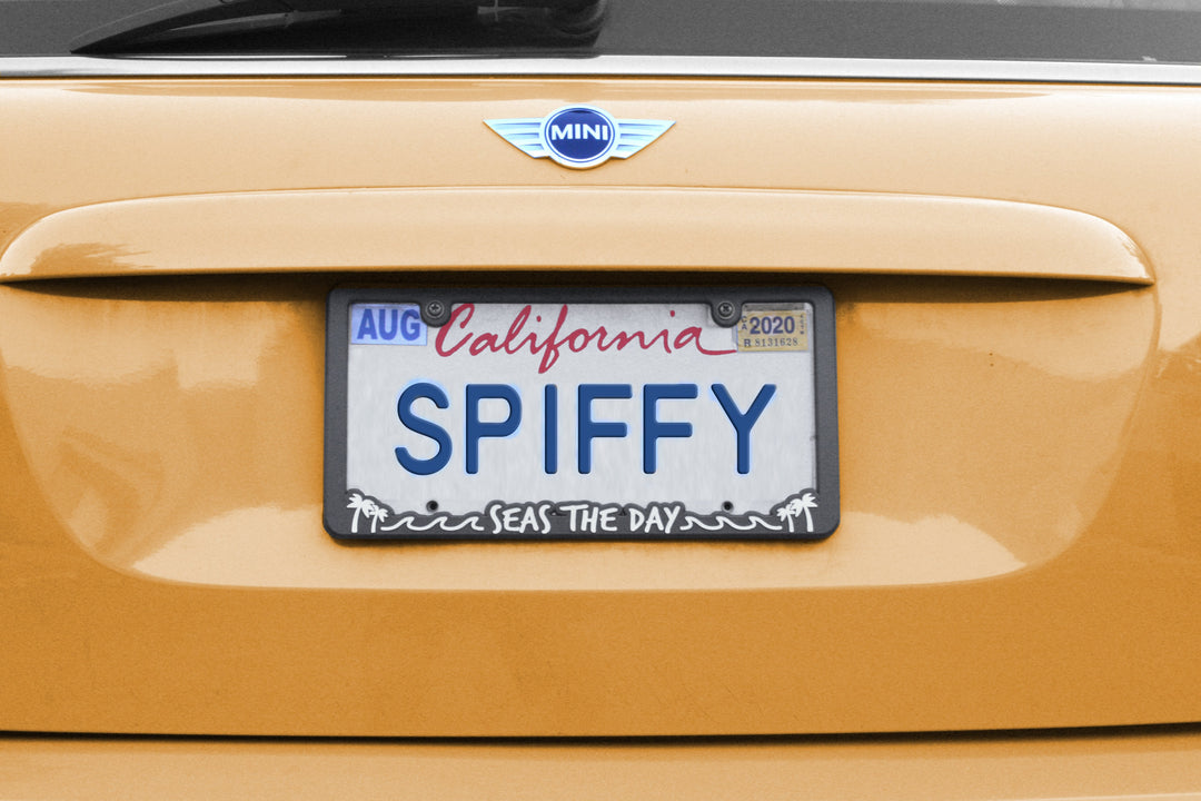Seas the Day License Plate Frame